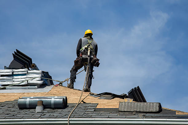 Professional Gutter Installation technician working in Webbville, KY
